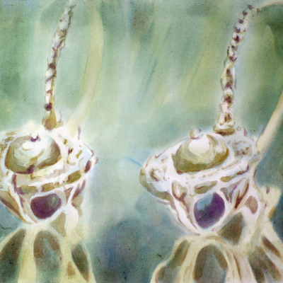 Ohrringe, 2008, Acquacrilic Su Tela, 60x80 Cm