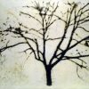Pancrazzi, Fuori Registro (albero), 1995, Grafite Su Carta Su Tela, 190×270 Cm
